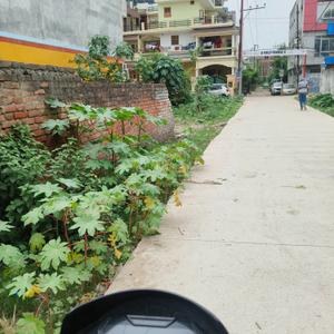 Image of 1000 Sq.ft Residential Plot / Land for sale in Matiyari, Lucknow for Rs. 3800000