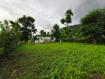 Image of 1500 Sq.ft Residential Plot / Land for sale in Thano, Dehradun for Rs. 3536000