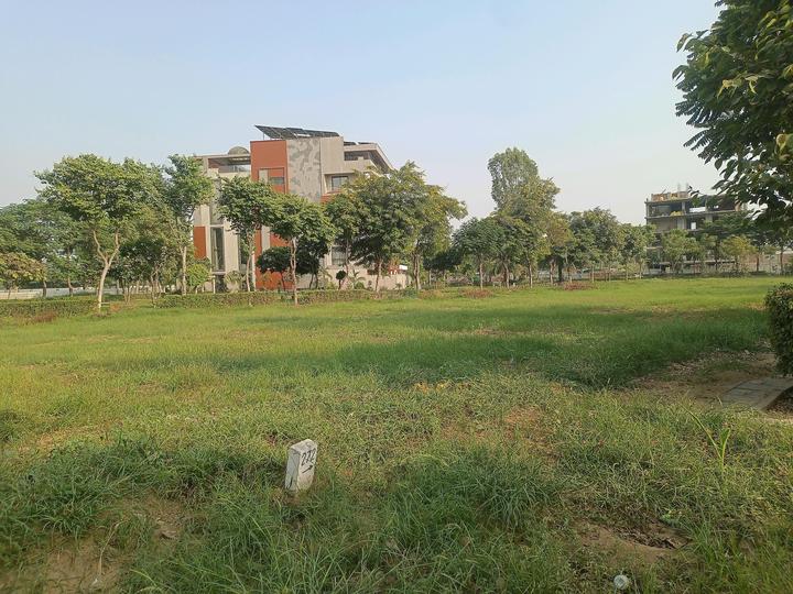 Uppal Gurgaon 99 Main Image 1