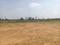 Thimmapur Plot View 2