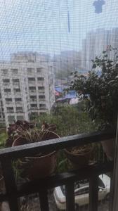 Balcony Image of 600 Sq.ft 1 BHK Apartment / Flat for sale in Sidhivinayak Hill Ridge, Powai Mumbai for Rs. 14500000