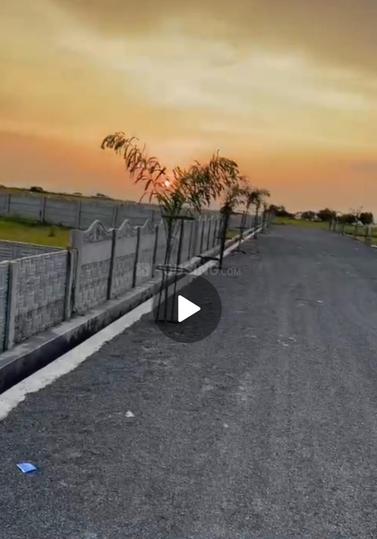 Luxury Society  Main Image 1