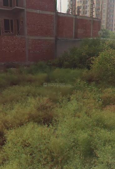 Gomti nagar  extension sector 4 lucknow Plot View 1