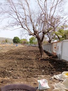 Image of 1000 Sq.ft Residential Plot / Land for sale in Bilhari, Jabalpur for Rs. 1000000