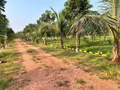 Image of 111 Sq.ft Residential Plot / Land for sale in Kothavalasa, Visakhapatnam for Rs. 666000