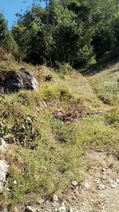 Image of 2178 Sq.ft Residential Plot / Land for sale in Kalimpong Khasmahal, Kalimpong for Rs. 1500000
