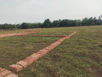 Image of 1200 Sq.ft Residential Plot / Land for sale in Trisulia, Cuttack for Rs. 4062000
