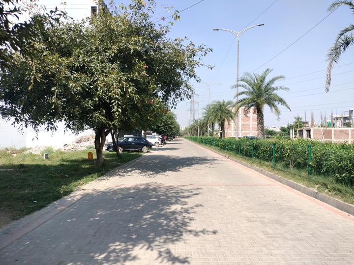 Sector 81 Main Image 1