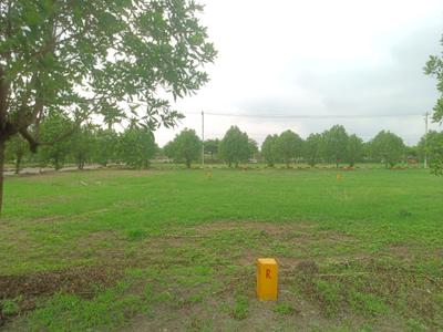 Sree Vaishno Enclave Plot View 2