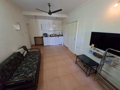 Hall Image of 657 Sq.ft 1 BHK Apartment / Flat for sale in Nagva, Bardez Goa for Rs. 7000000