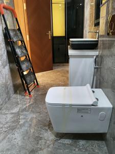 Common Bathroom Image of 1828 Sq.ft 3.5 BHK Apartment / Flat for sale in Microtek Greenburg, Sector 86 Gurgaon for Rs. 34500000