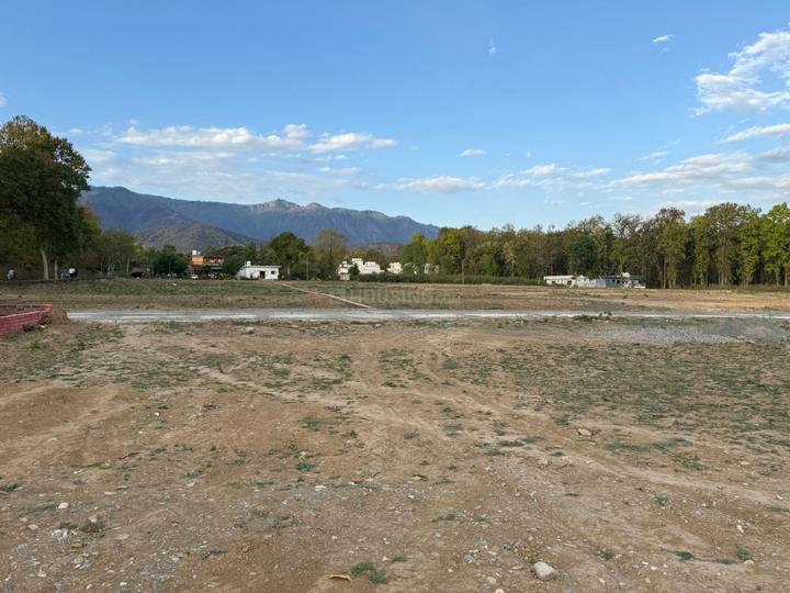 Pondha Main Image 1