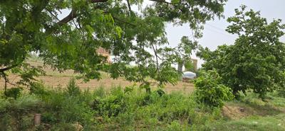 Image of 891 Sq.ft Residential Plot / Land for sale in Khurja, Bulandshahr for Rs. 2200000