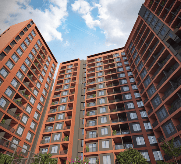 Acquest Coral Nest Main Image 1