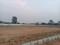 Adibatla Plot View 2