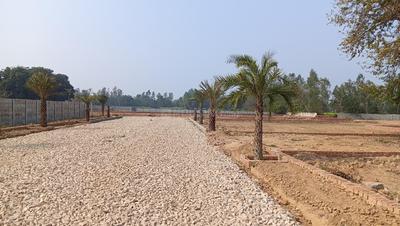 Image of 1000 Sq.ft Residential Plot / Land for sale in Amethi, Lucknow for Rs. 2100000