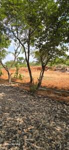 Image of 1200 Sq.ft Residential Plot / Land for sale in Nagarbhavi, Bengaluru for Rs. 15600000