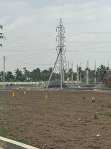 Image of 1487 Sq.ft Residential Plot / Land for sale in Kovilpalayam, Coimbatore for Rs. 5085540