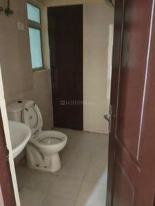 Image of 1300 Sq.ft 3 BHK Apartment / Flat for rent in Amrapali Castle, Chi V, Greater Noida for Rs. 18000