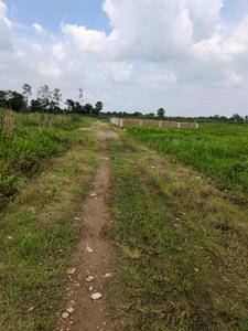 Nest Valley Internal Roads 1