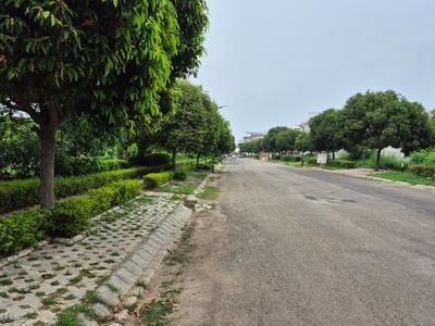Image of 2250 Sq.ft Residential Plot / Land for sale in Emaar The Villas, Sector 105, Mohali for Rs. 31000000