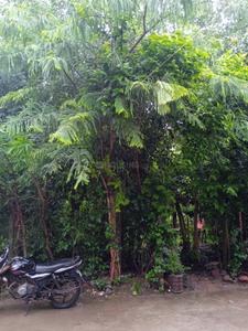 Image of 640 Sq.ft Residential Plot / Land for sale in Samardha, Bhopal for Rs. 1920000