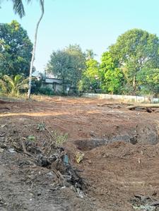 Image of 10890 Sq.ft Residential Plot / Land for sale in Pottore, Killannur, Thrissur for Rs. 315000