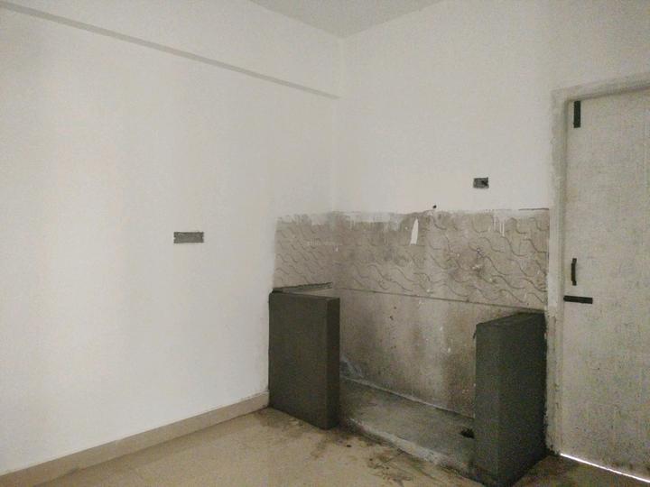 Fern Nest Main Image 1