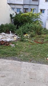 Image of 2431 Sq.ft Residential Plot / Land for sale in Tukoganj, Indore for Rs. 52500000