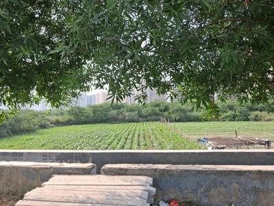 Image of 6250 Sq.ft Residential Plot / Land for sale in Sector 79, Noida for Rs. 121400000