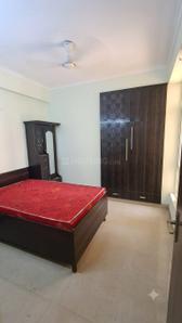 Bedroom Image of 890 Sq.ft 2 BHK Apartment / Flat for rent in Phase 2 Noida for Rs. 18000