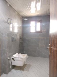 Common Bathroom Image of 3200 Sq.ft 5 BHK Builder Floor for sale in Rajendra Nagar Ghaziabad for Rs. 25451000