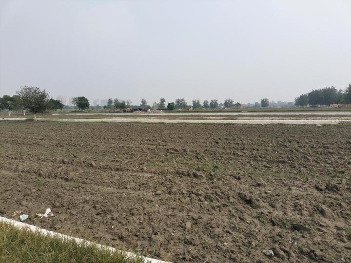 Kakrala Main Image 1