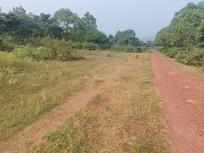 Image of 200000 Sq.ft Residential Plot / Land for sale in Tangi, Cuttack for Rs. 8750000