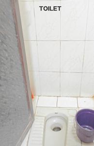 Bathroom Image of 320 Sq.ft 1 RK Apartment / Flat for sale in Worli Mumbai for Rs. 5000000