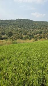 Image of 6000 Sq.ft Residential Plot / Land for sale in Bhor, Pune for Rs. 1200000