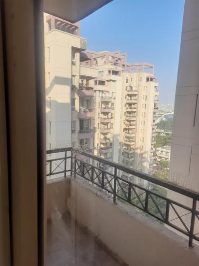 Orchid Petals Main Image 1