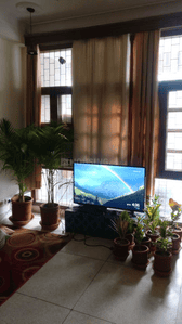 Image of 725 Sq.ft 2 BHK Builder Floor for rent in Karol Bagh, New Delhi for Rs. 25000