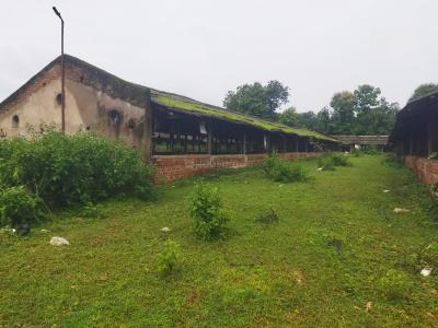 Image of 2100 Sq.ft Residential Plot / Land for sale in Similipada, Angul for Rs. 4000000