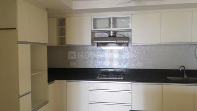Kitchen Image of 3080 Sq.ft 4 BHK Apartment / Flat for rent in Advantage Pebble Bay, RMV Extension Stage 2 Bengaluru for Rs. 250000