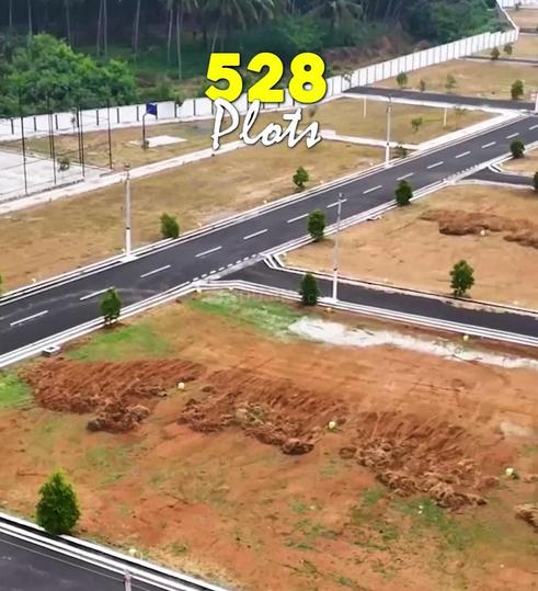 DEV OAK TREE Main Image 1