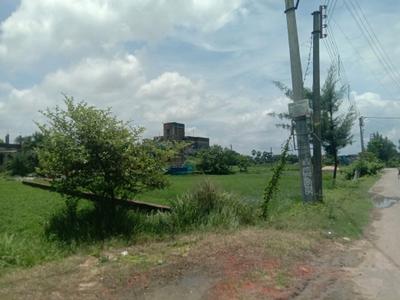 Residential plot Sonarpur Plot View 1