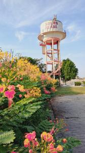 Image of 1000 Sq.ft Residential Plot / Land for sale in Kamal Vihar, Raipur for Rs. 3300000