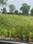 Anand Lok Main Image 1