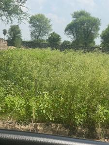 Residential Plot