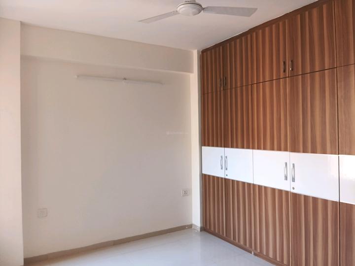 Tulip Violet Main Image 1