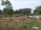 Hinjawadi Phase 3 Plot View 2