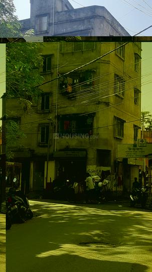 Patuli More Images 1