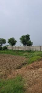 Image of 900 Sq.ft Residential Plot / Land for sale in Vrindaban Bangar, Vrindavan for Rs. 1250000