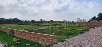 Barai Plot View 3